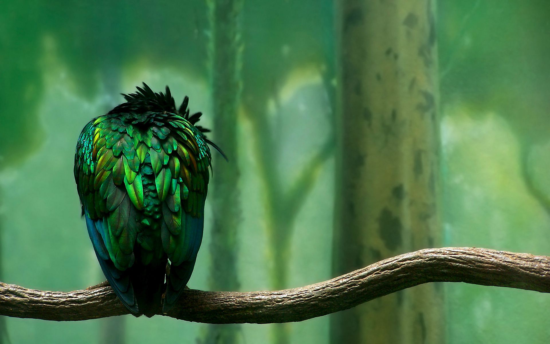 1920 x 1080 HD Wallpapers 1170